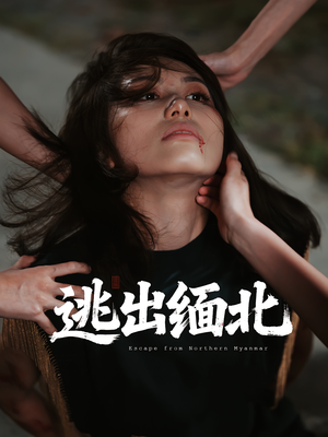 《逃出缅北》（62集）短剧免费全集追到过瘾