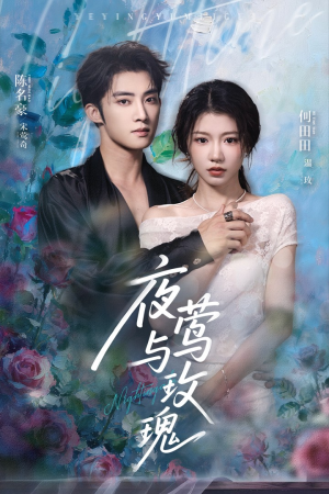 《夜莺与玫瑰》（66集）爆款短剧全集免费观赏