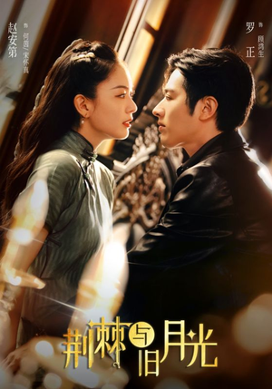 《荆棘与旧月光》（80集）短剧好剧一集接着看