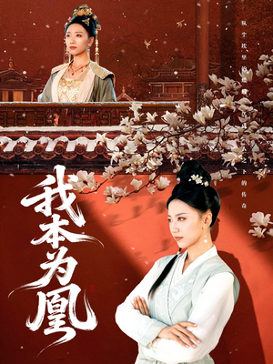 《我本为凰》（82集）一口气追完精彩短剧