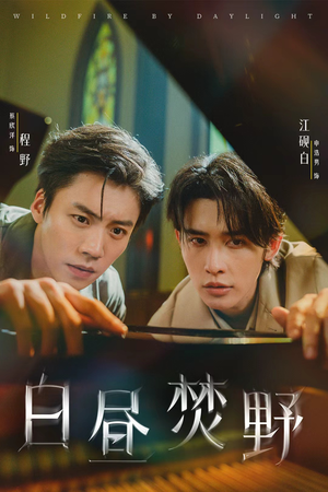 《白昼焚野》（70集）畅享短剧全集精彩内容