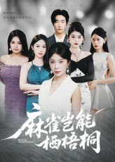 《麻雀岂能栖梧桐》（31集）短剧在线追超带劲看