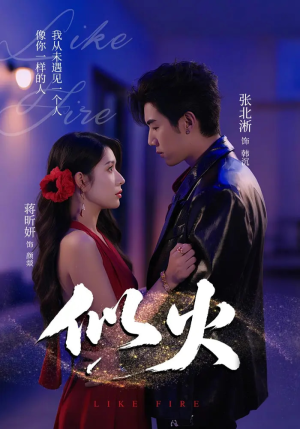 《似火》（80集）精彩短剧全集免费观看