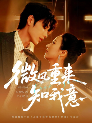 《微风重来知我意》（62集）在线短剧精彩全集畅看