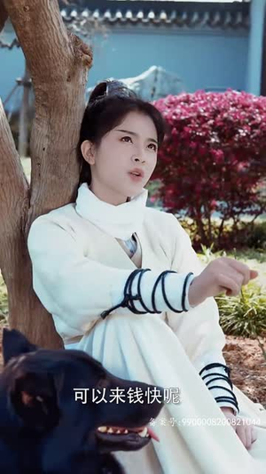 《权宠刁妃》（17集）畅享短剧全集免费看