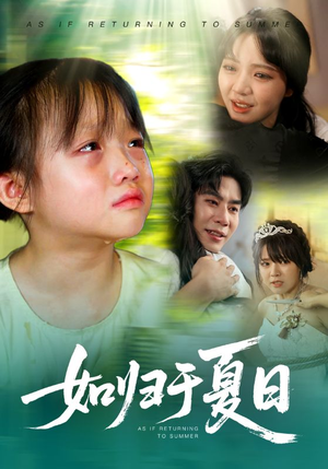 《如归于夏日》（65集）短剧全集免费在线一口气追