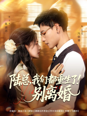 《陆总我们都重生了别离婚》（79集）全集短剧免费在线赏