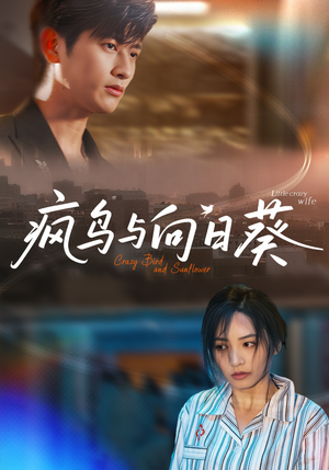 《疯鸟与向日葵》（40集）在线短剧完整剧情速看