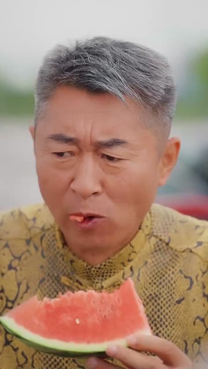 《山村藏龙谁惹得起》(76集)看短剧全集一追到底