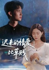 《迟来的情爱比草贱》（46集）免费短剧畅享追剧体验