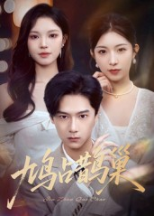 《鸠占鹊巢&顶流夫人的致命陷阱》（70集）看短剧全集一气呵成