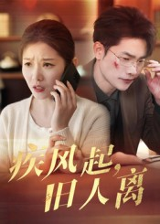《疾风起旧人离》（32集）免费短剧全集速来观看