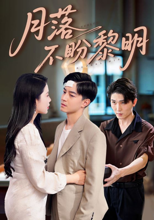 《月落不盼黎明》（64集）短剧免费看全集超带感