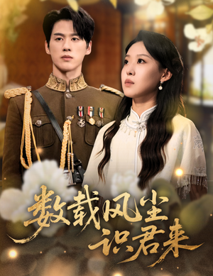 《数载风尘识君来》（62集）畅享短剧全集追到底