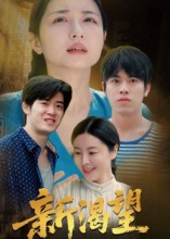 《新渴望》（30集）看短剧新篇畅享不停