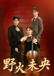 《野火未央》（40集）免费短剧全集追剧到底