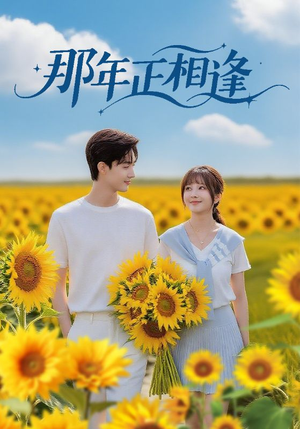 《那年正相逢》（60集）短剧全集免费在线追