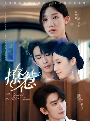 《撩惹》（80集）短剧精彩完整版速看