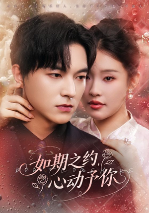 《如期之约心动予你》（82集）在线短剧免费追全集