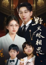 《野火烬相思》（61集）短剧精彩剧情在线速追