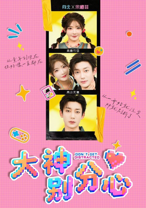《大神别分心》（70集）短剧在线全集免费观