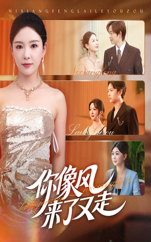 《你像风来了又走》（59集）短剧在线免费尽情看