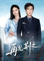 《再见荆之》（60集）在线追短剧一集不落