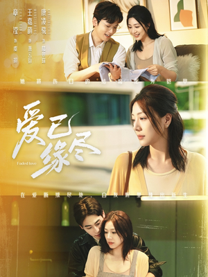 《爱已缘尽》（62集）短剧全集免费在线畅享