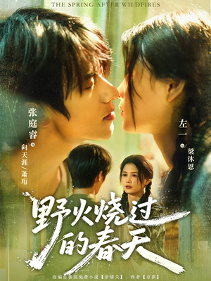 《野火烧过的春天》（85集）短剧免费在线追剧盛宴