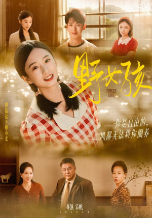 《野女孩》（91集）在线畅看短剧全集不停