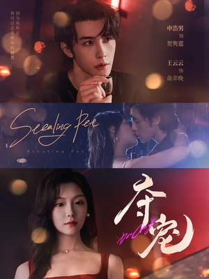 《夺宠》（88集）短剧免费全集看个够