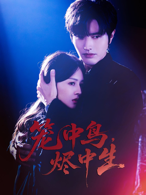 《笼中鸟，烬中生》（60集）短剧在线看精彩全集