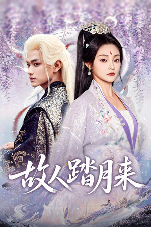 《故人踏月来》（60集）免费看短剧完整大结局