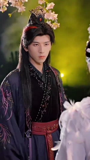 《大道忘情方入境》（61集）看短剧全集在线超带感