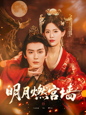 《明月燃宫墙》（60集）免费短剧在线追不停