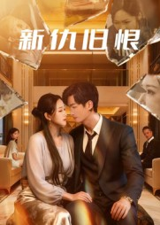 《新仇旧恨》（51集）精彩短剧免费全集追完