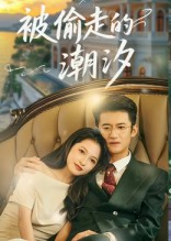 《被偷走的潮汐》（60集）短剧完整版畅快追完