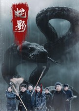 《蛇影》（25集）免费短剧全集精彩速览