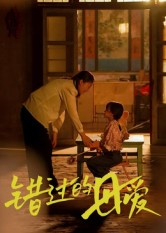 《错过的母爱》（32集）爆款短剧全集免费畅看