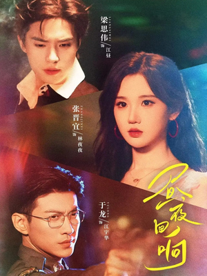 《昼夜回响》（76集）在线畅享短剧全集