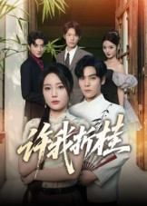 《许我折桂》（70集）在线短剧免费追完超满足