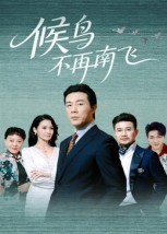 《候鸟不再南飞》（80集）短剧免费全集在线观