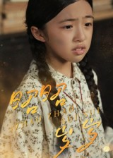 《昭昭岁岁》（30集）全集短剧免费在线速看