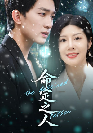 《命定之人》（56集）在线短剧全集免费看