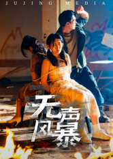 《无声风暴》（33集）短剧精彩在线免费追看