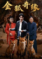 《金狐奇缘》(42集)在线看短剧一追到底