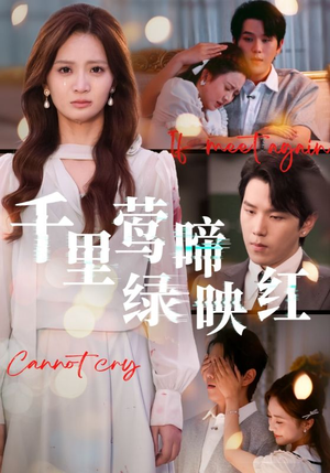 《千里莺啼绿映红》(63集)看短剧不停歇超带感