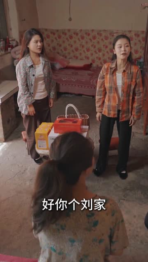 《情满小院》(35集)短剧精彩剧情全览