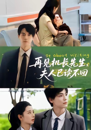 《再见机长先生夫人已读不回》（62集）免费看短剧精彩大结局