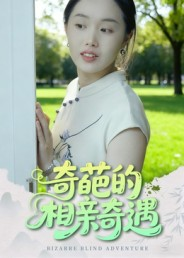 《奇葩的相亲奇遇》（17集）短剧奇趣相亲故事看不停